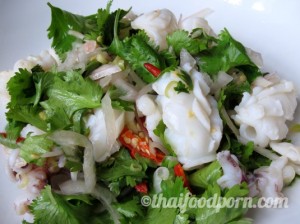 Thai Spicy Squid Salad - Thai Food Recipes - Thai Food Porn